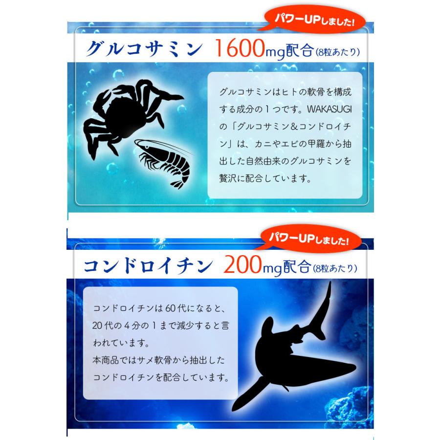 業務用600粒 グルコサミン＆コンドロイチン+プロテオグリカン配合