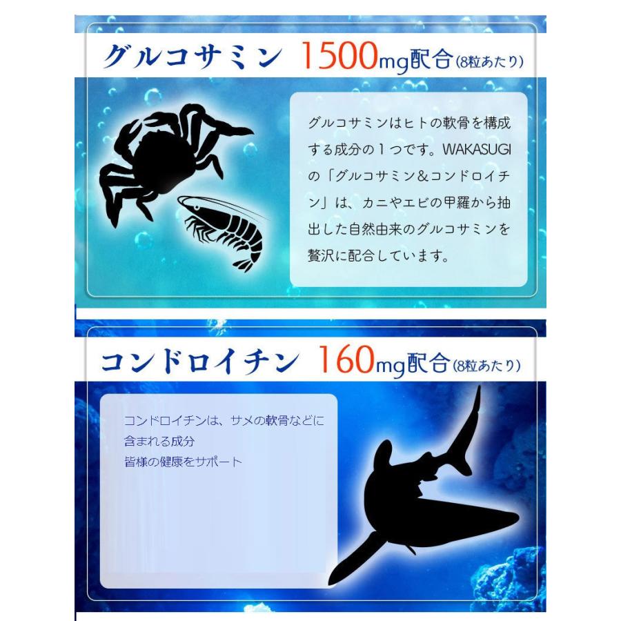 【送料無料】定価２袋25,920円 ２袋セット価格　グルコサミン　コンドロイチン　プリテオグリカン配合　サプリ プロテオグリカン新配合 グルコサミン＆コンドロイチン 60粒 2袋セット