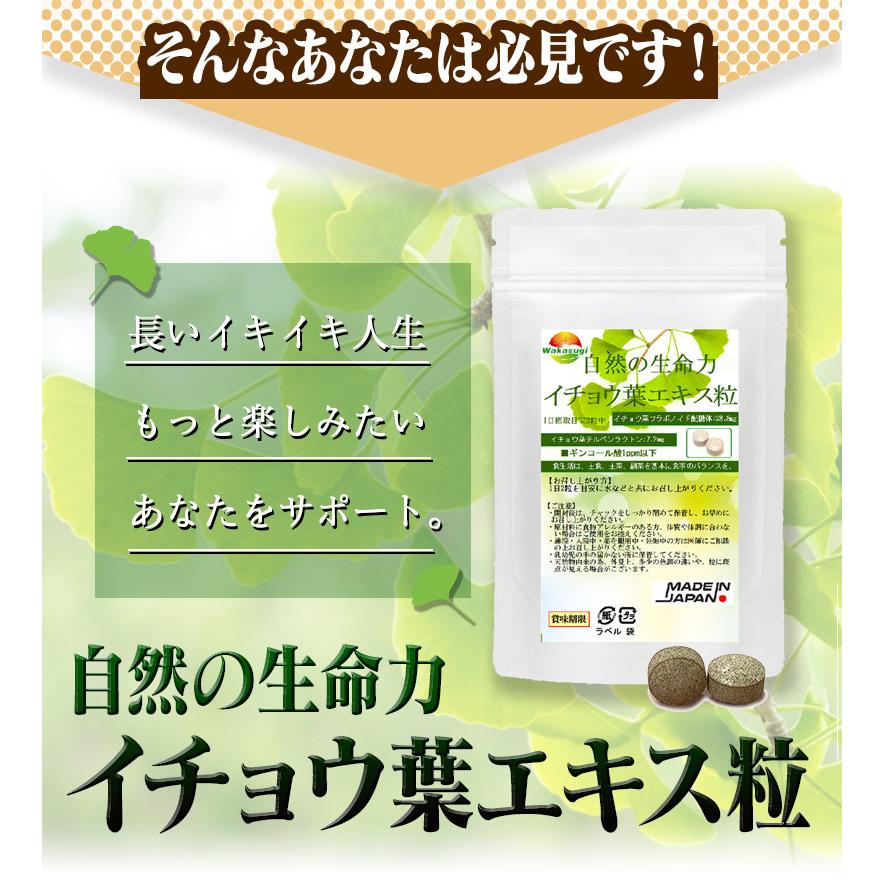 専用　イチョウ葉エキス4本　消費期限ご確認下さい イチョウ葉エキス粒 60粒 約1ヵ月分 【含有率に着目】2粒中イチョウ葉