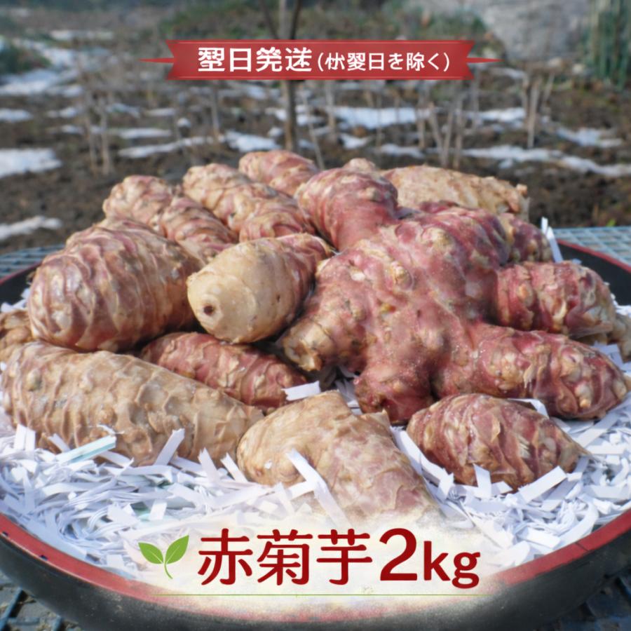 即納 赤菊芋（紫菊芋系統） 生菊芋 2kg 国産 北海道産・岐阜県産 軽