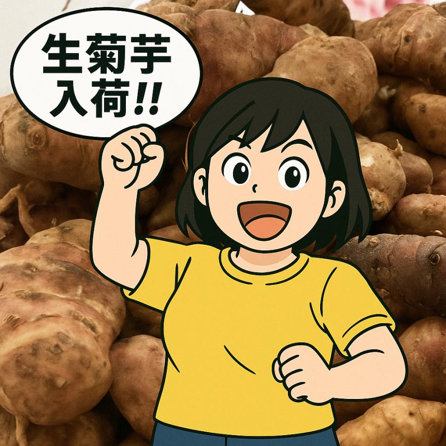 即納 赤菊芋（紫菊芋系統） 生菊芋 2kg 国産 北海道産・岐阜県産 軽