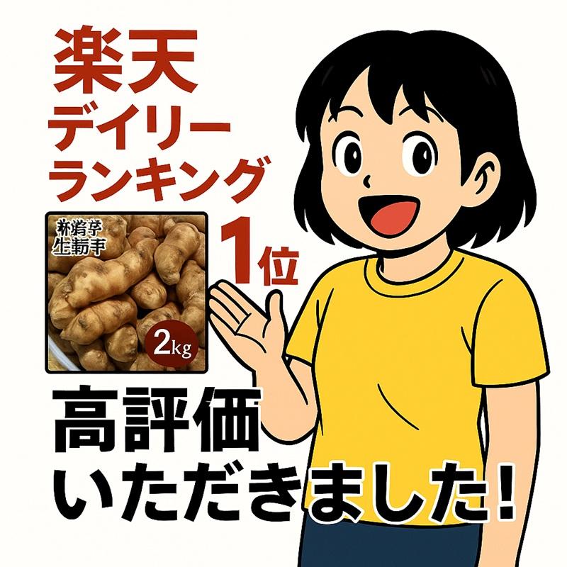 即納 赤菊芋（紫菊芋系統） 生菊芋 2kg 国産 北海道産・岐阜県産 軽