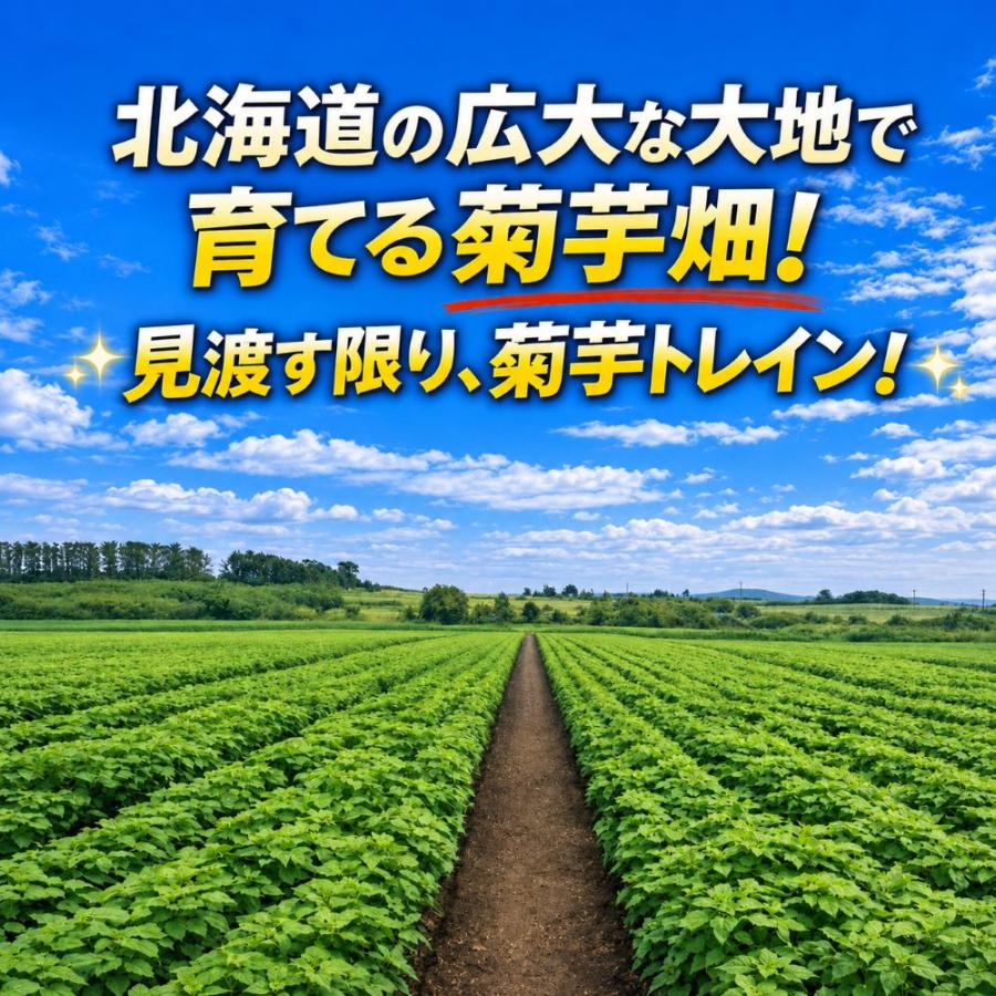 菊芋 予約販売 11月入荷 北海道産 赤菊芋（紫菊芋系統）生菊芋 6kg 土付き 不揃い 菊芋 きくいも キクイモ 根菜 健康野菜 爆買 |  | 01