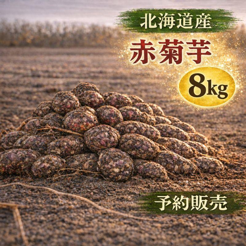 即納 赤菊芋（紫菊芋系統） 生菊芋 8kg 国産 北海道産・岐阜県産 軽
