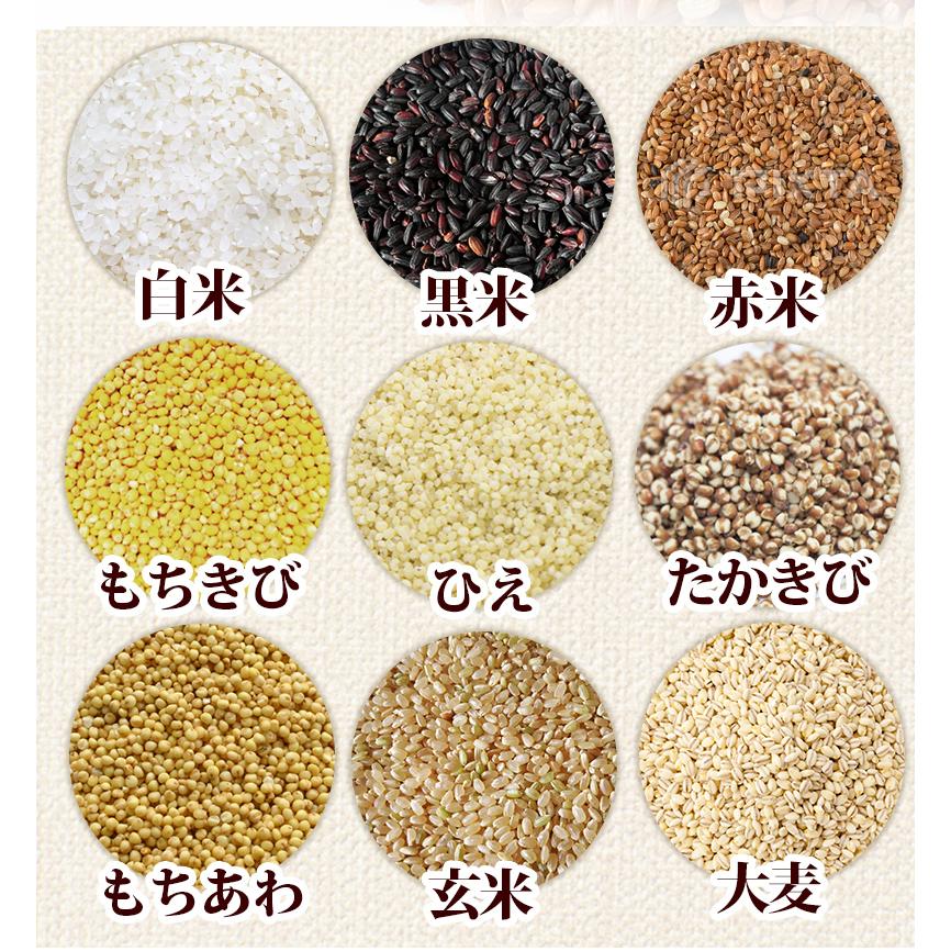 こうじ酵素 麹 酵素サプリ 酵素麹粒30粒 新酵素サプリメント 熟成137種
