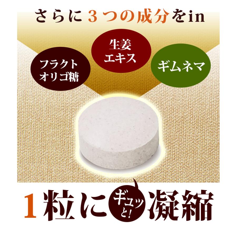 まとめ売り 酵素麹粒60粒 100袋セット計6000粒 熟こうじ酵素 麹 酵素サプリ 成137種植物発酵エキス+厳選9種穀物麹 ダブル酵素パワー　｜wakasugi2012｜10