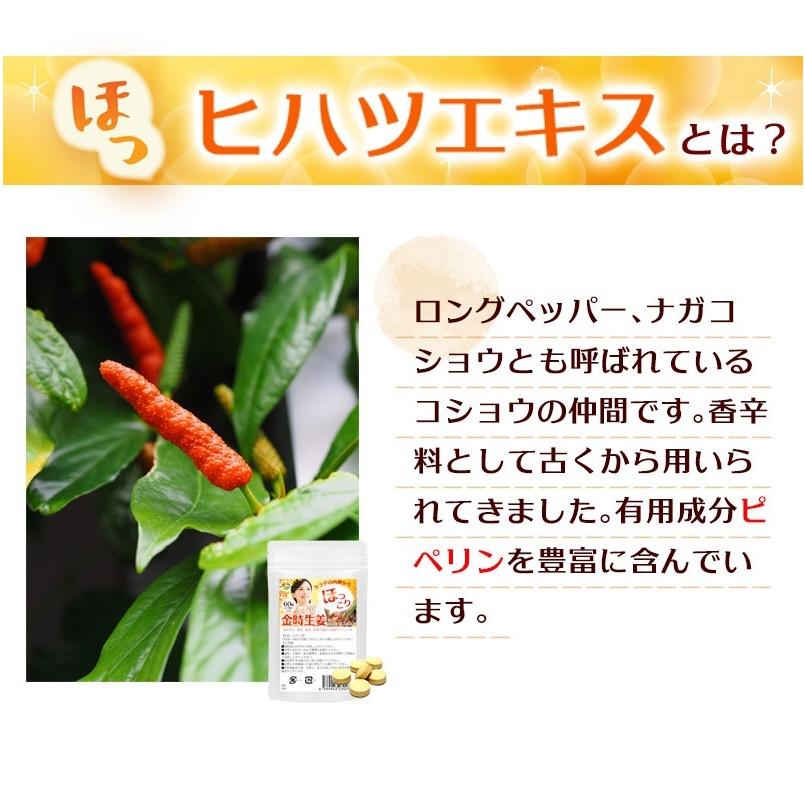 サプリメント　金時生姜サプリ　金時しょうがサプリ　合計600粒　10袋まとめ売り