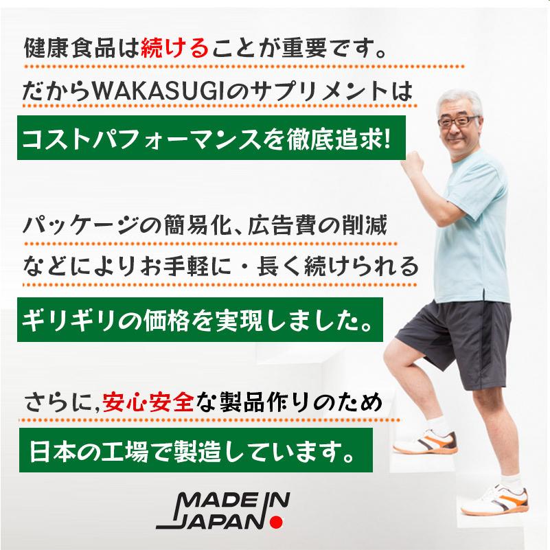 サプリメント　金時生姜サプリ　金時しょうがサプリ　合計600粒　10袋まとめ売り