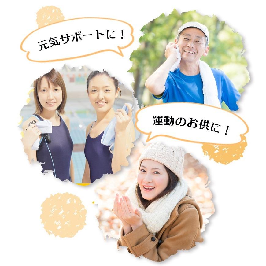 サプリメント　金時生姜サプリ　金時しょうがサプリ　合計600粒　10袋まとめ売り