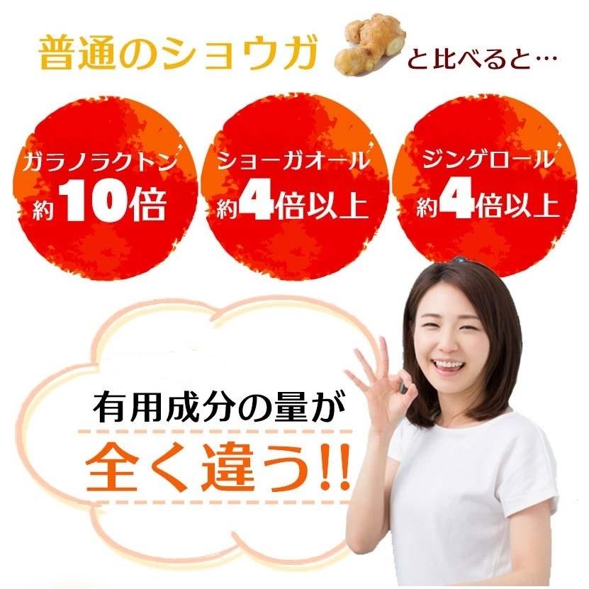 サプリメント　金時生姜サプリ　金時しょうがサプリ　合計600粒　10袋まとめ売り