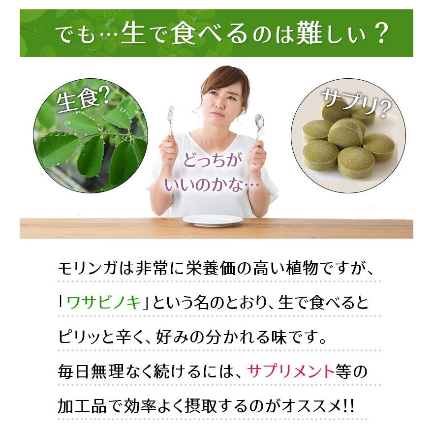 まとめ売り　モリンガ　サプリ　モリンガ粒60粒 　10袋セット計600粒　バージョンアップ配合率90%達成　和名ワサビノキ