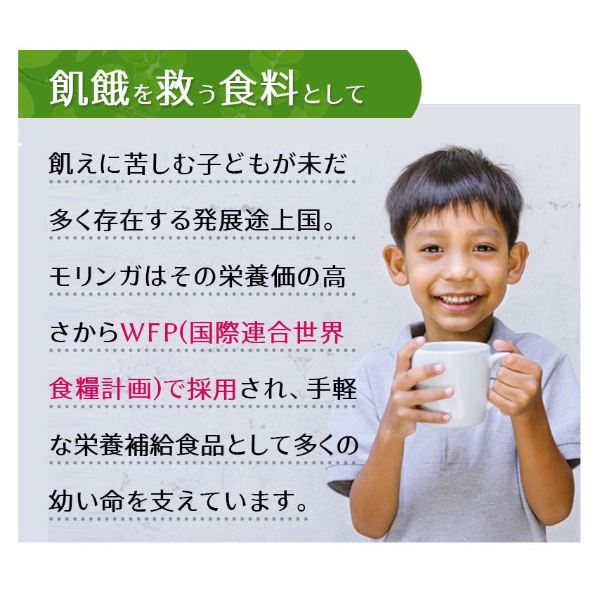 まとめ売り　モリンガ　サプリ　モリンガ粒60粒 　10袋セット計600粒　バージョンアップ配合率90%達成　和名ワサビノキ