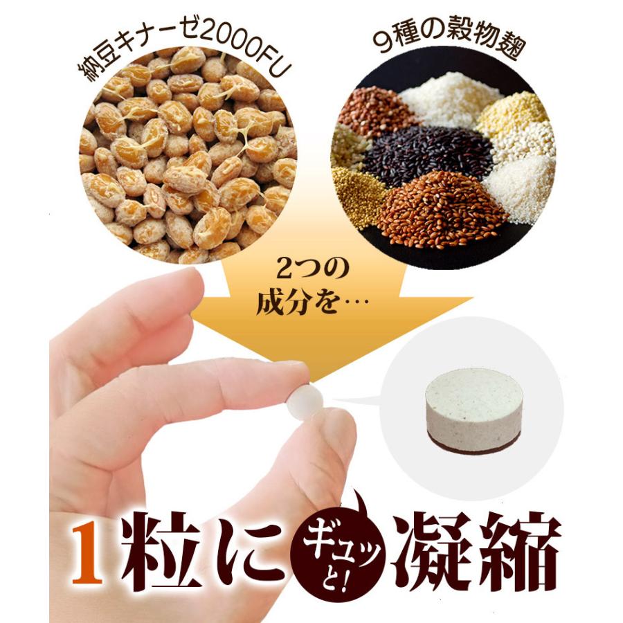 スーパーセール 凝縮納豆酵素ナットウキナーゼ 5袋 tdh-latinoamerica.de