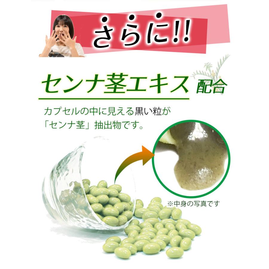 まとめ売り　熟成 生酵素 1袋30粒 150袋セット計4500粒 合計176種類 野草酵素サプリメント ソフトカプセル｜wakasugi2012｜08