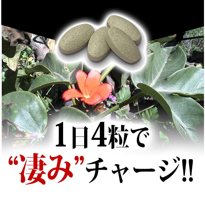 凄戯王 SEIGIOH 2箱セット 男の活力習慣 1DAYパック 黒マカ ムクナ