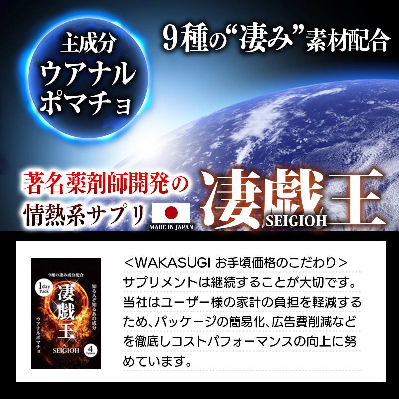 男性サプリ 凄戯王 1daypack 2箱セット セイギオウ 知る人ぞ知る謎の