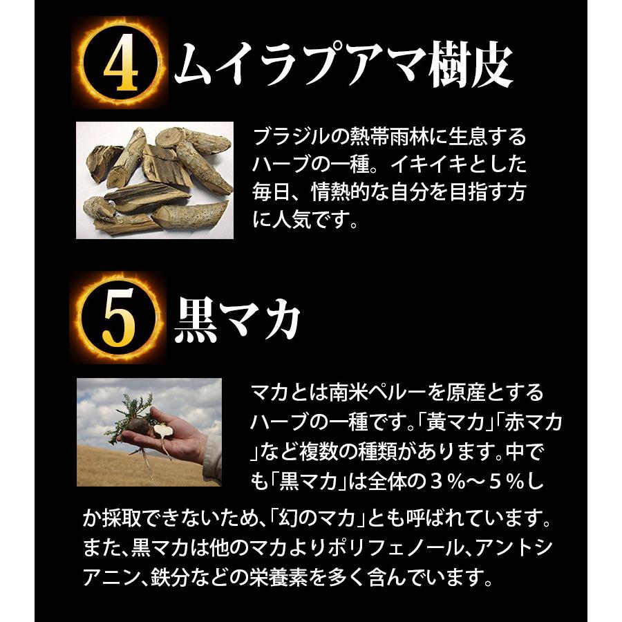 馬チンポ 男性サプリ 凄戯王 1daypack 3箱セット セイギオウ 知る人ぞ知る謎の成分 ウアナルポマチョ 馬ペニス他計9種の漲る系成分配合 :  サプリメント健康雑貨のお店若杉 - 通販 - Yahoo!ショッピング