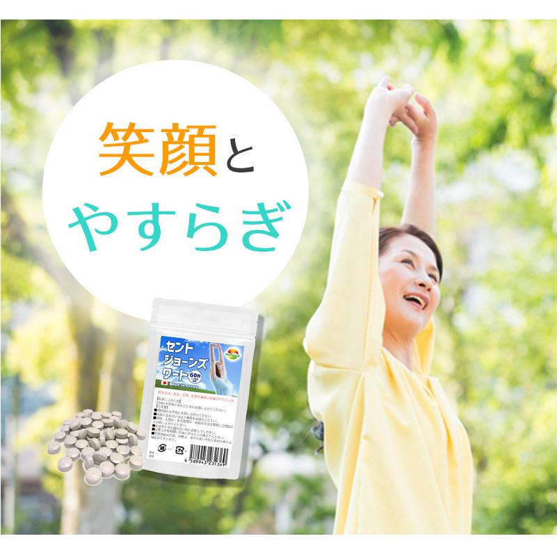 セントジョーンズワート 60粒 3袋セット計180粒 約3ヶ月分 GABA配合
