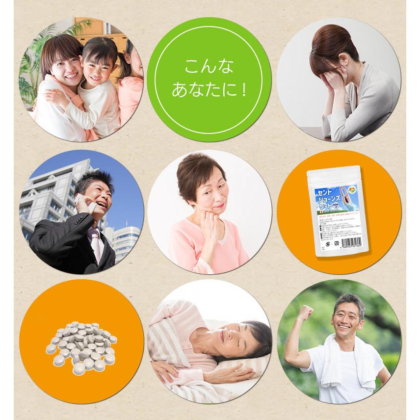 セントジョーンズワート 60粒 6袋セット計360粒 約6か月分 GABA配合