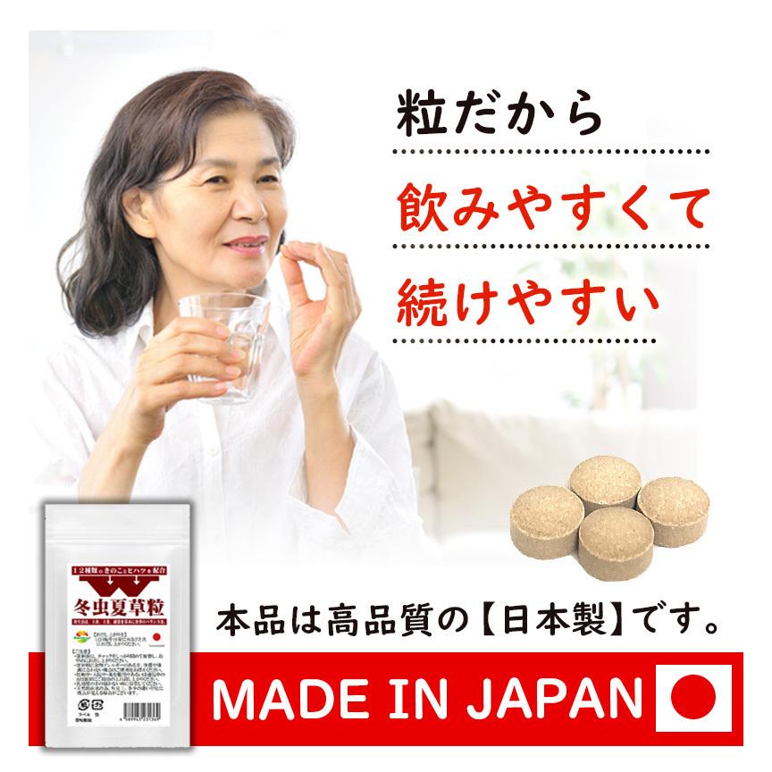 W冬虫夏草粒 120粒 1日4粒で約1か月分 コルジセピン高含有の冬虫夏草