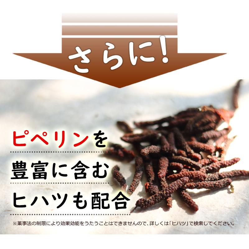 W冬虫夏草粒 240粒 1日4粒で約2か月分 コルジセピン高含有の