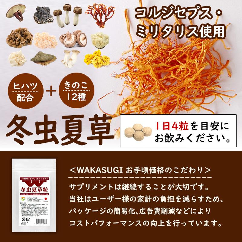 W冬虫夏草粒 60粒 2袋セット計120粒 1日4粒30日分 価値ある