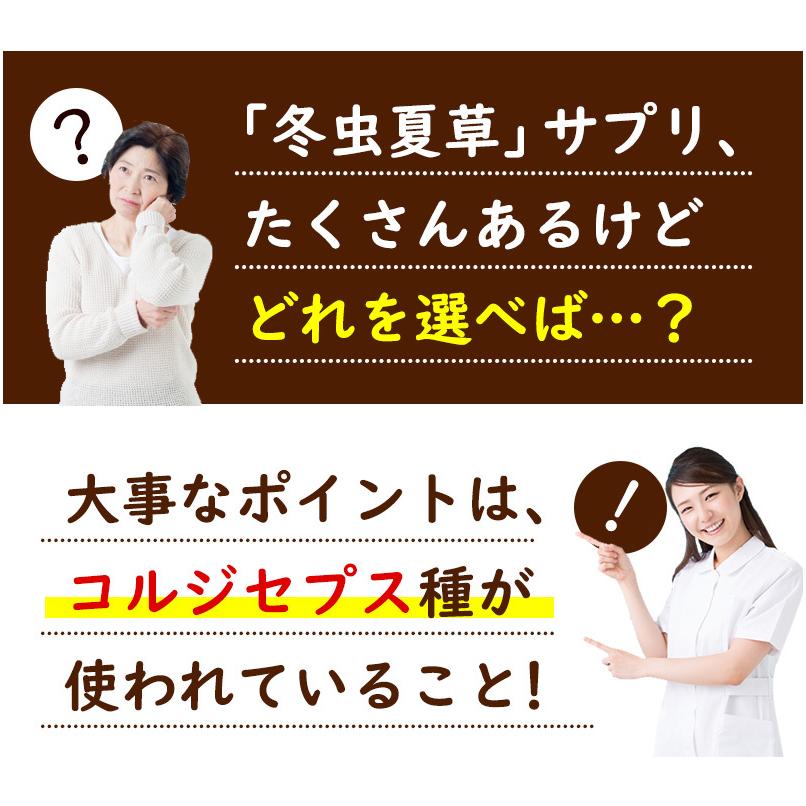 W冬虫夏草粒 60粒 2袋セット計120粒 1日4粒30日分 価値ある