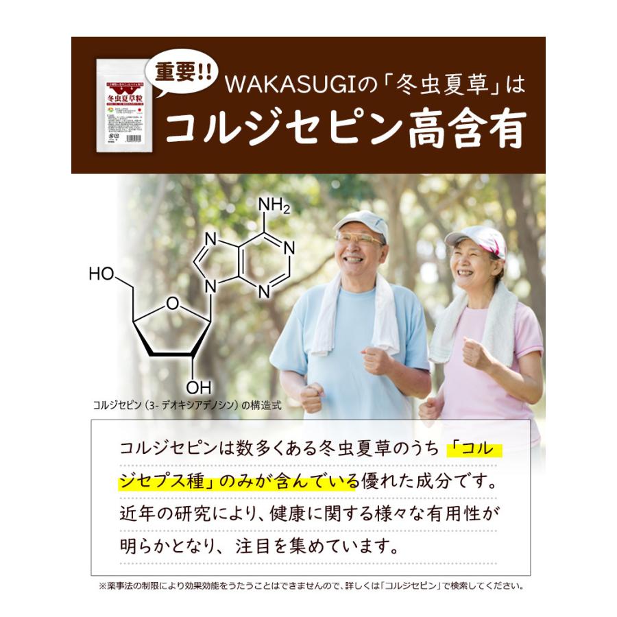 Ｗ冬虫夏草粒 60粒 2袋セット計120粒　1日4粒30日分 価値あるコルジセピン高含有の冬虫夏草に12種のきのこ ヒハツ配合｜wakasugi2012｜06