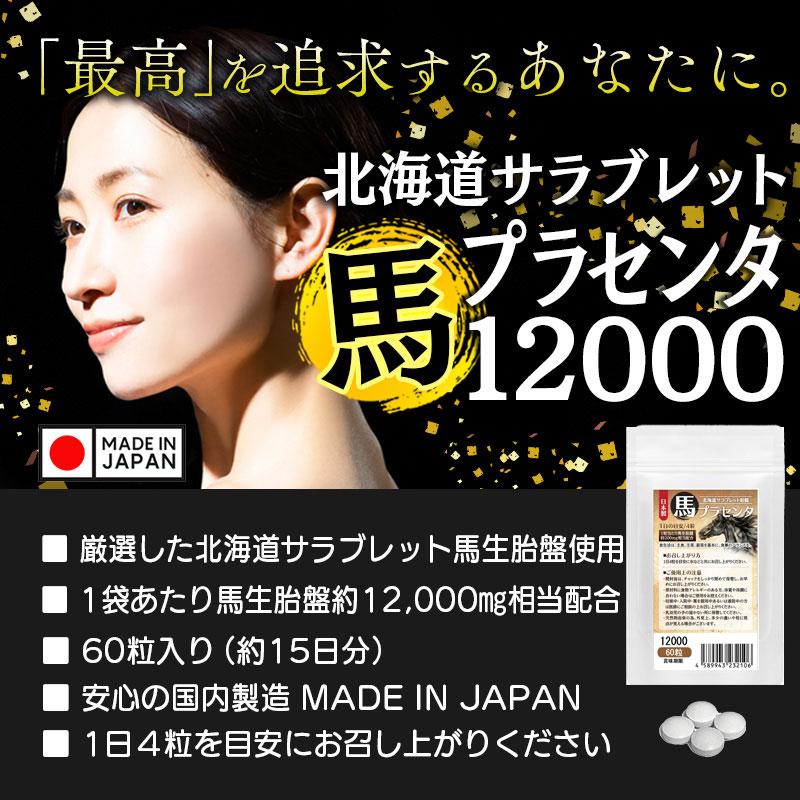 馬プラセンタ12000 60粒 北海道サラブレット胎盤使用 1日目安/4 馬プラセンタ12000 60粒 北海道サラブレット胎盤使用 1日目安/4