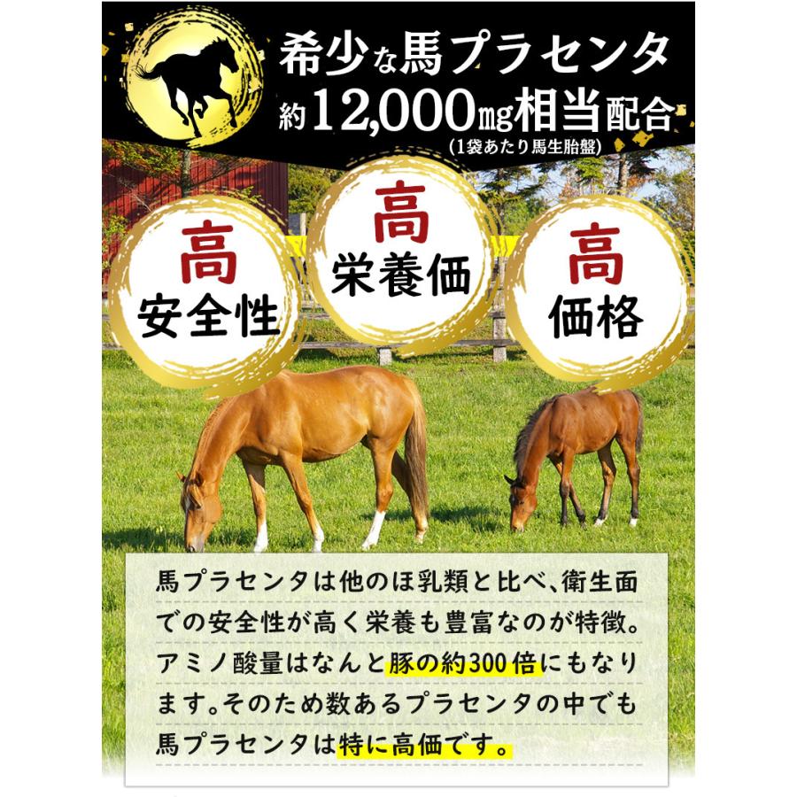 まとめ売り 馬プラセンタ12000 60粒 10袋セット計600粒 1日目安/4粒