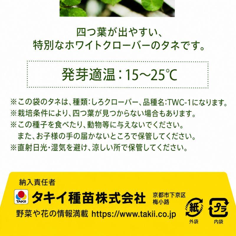 四つ葉クローバーの種 4袋セット タキイ種苗 TWC-1 名刺タイプ