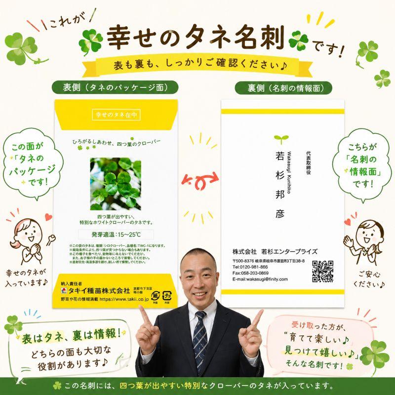四つ葉のクローバー まとめ買い 料金表 四つ葉クローバーの種 4袋セット タキイ種苗 TWC-1 名刺タイプ