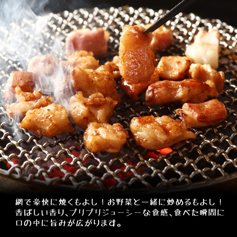 ミックスホルモン （300g） 小腸 赤センマイ ハツ 牛ホルモン 肉 牛肉 国産 ホルモン もつ鍋 具材 追加具 BBQ 焼肉セット 博多若杉｜wakasugi｜02