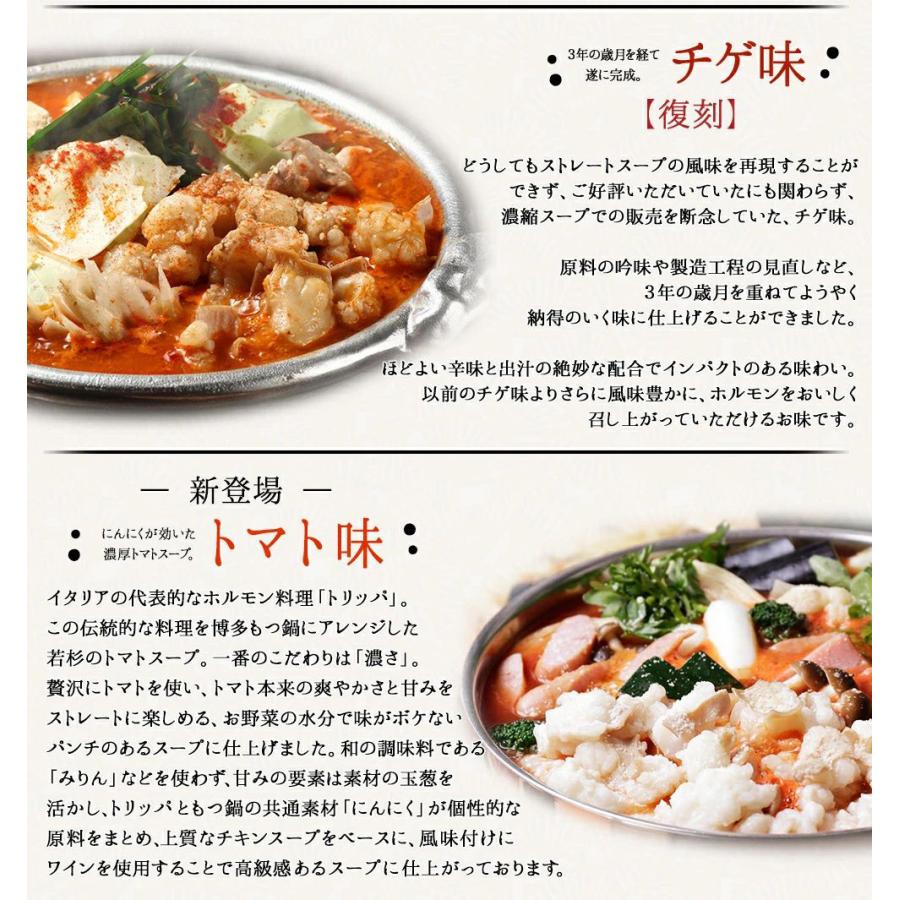 博多若杉 もつ鍋 もつ鍋セット（3-4人前）お取り寄せ鍋セット 牛もつ鍋