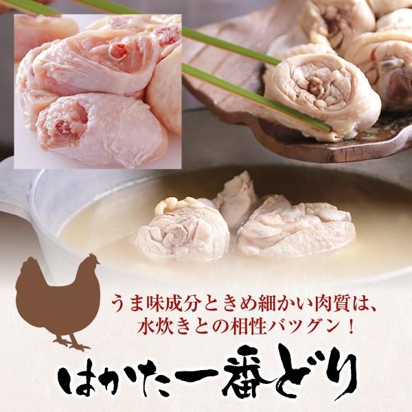 水炊き プレミアム 水炊きセット （2〜3人前） お取り寄せ鍋セット みず炊き 水たき 鍋セット 博多 料理 惣菜 肉 博多若杉｜wakasugi｜03