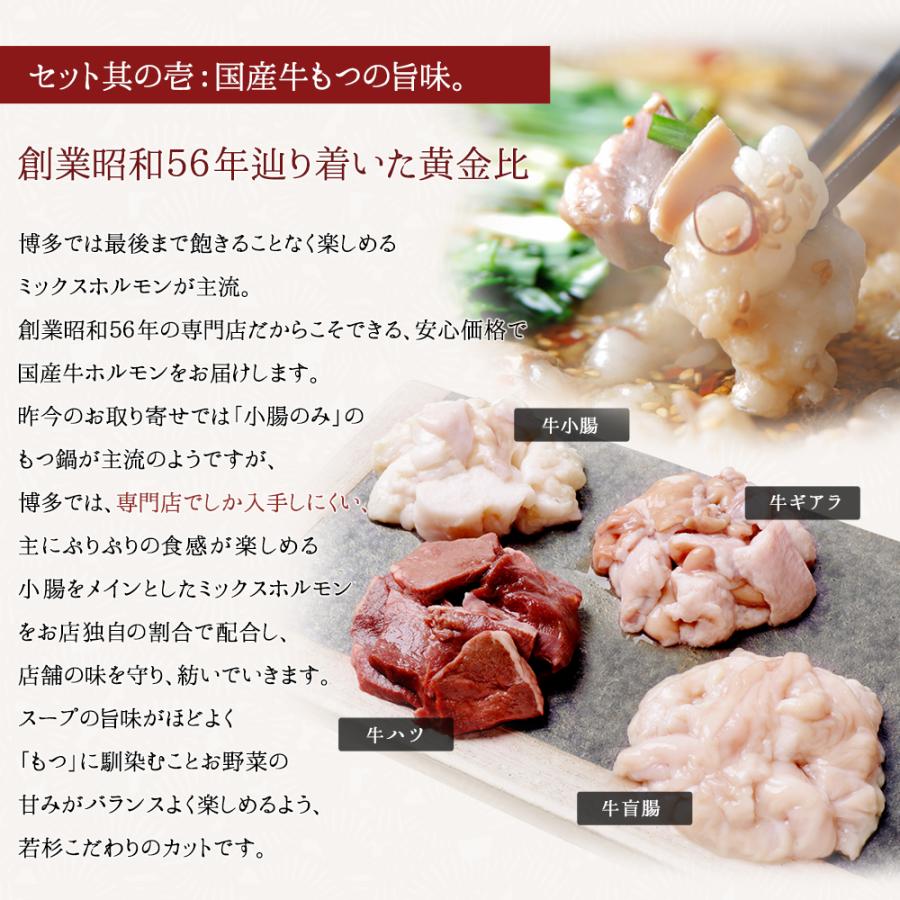 もつ鍋 もつ鍋セット お試しセット （2人前） 牛もつ鍋 取り寄せ 肉 料理  国産 牛もつ 博多若杉｜wakasugi｜10