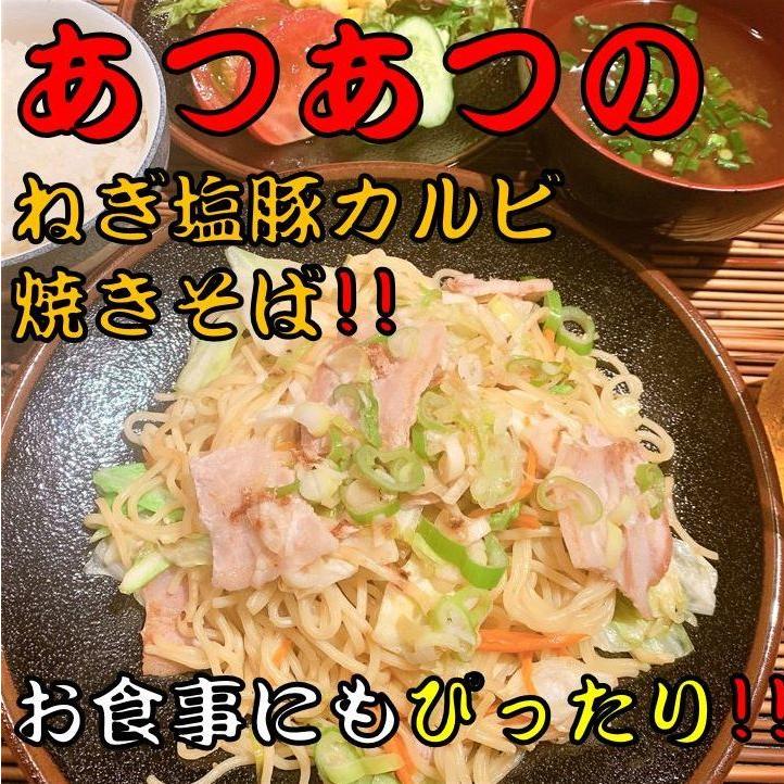 調理なし 焼きそば ねぎ塩 豚カルビ 3食セット 送料無料 青のり付き 急速冷凍 真空冷凍 冷凍保存 冷凍 お取り寄せ 通販 簡単 おつまみ 食品 人気 美味しい 0009 若竹グループ ヤフー店 通販 Yahoo ショッピング