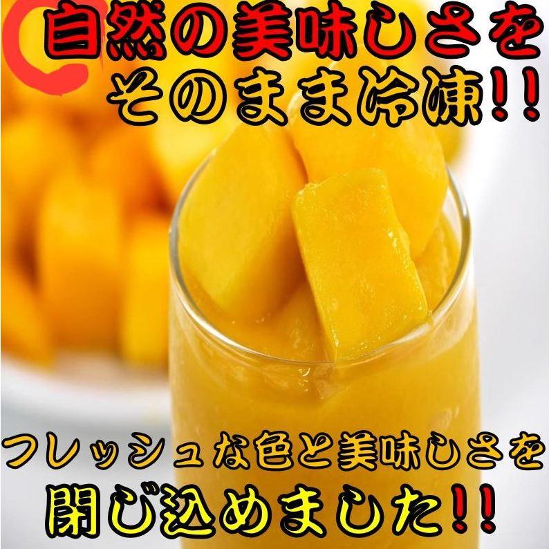 【IQF冷凍カットフルーツ】 マンゴー ダイスカット 500ｇ 12袋入り 冷凍 食品 フルーツ 新鮮 使い切り 便利 健康 美容 送料無料 マンゴー