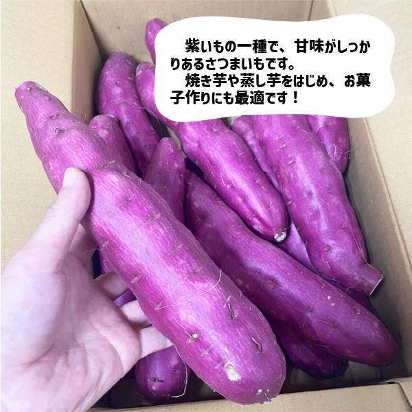 国産 紫いも 約４kg M〜Lサイズ さつまいも サツマイモ 焼き芋 干し芋 茨城県 千葉県｜wakayama-ichiba｜02