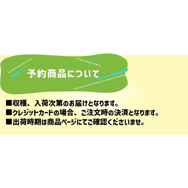 高知県産 新しょうが 約２kg L〜2Lサイズ  甘酢 生姜 漬物 しょうが 新生姜｜wakayama-ichiba｜04