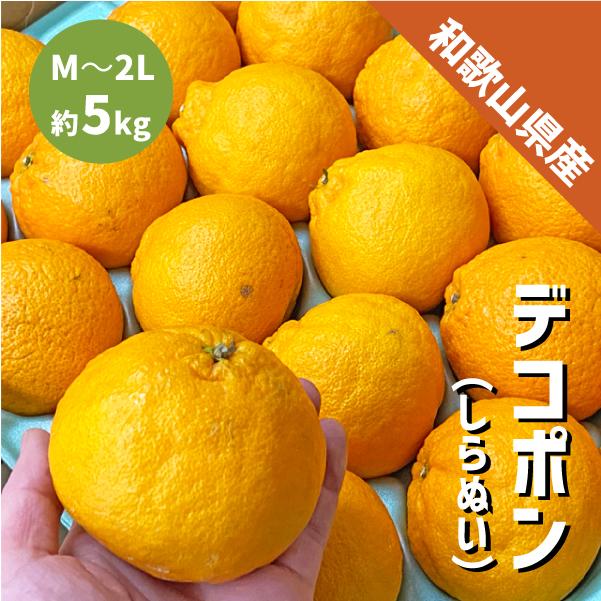 和歌山県産 デコポン 約5kg 和歌山 でこぽん 凸ポン しらぬい 和歌山県産 デコポン 約5kg 和歌山 でこぽん 凸ポン しらぬい