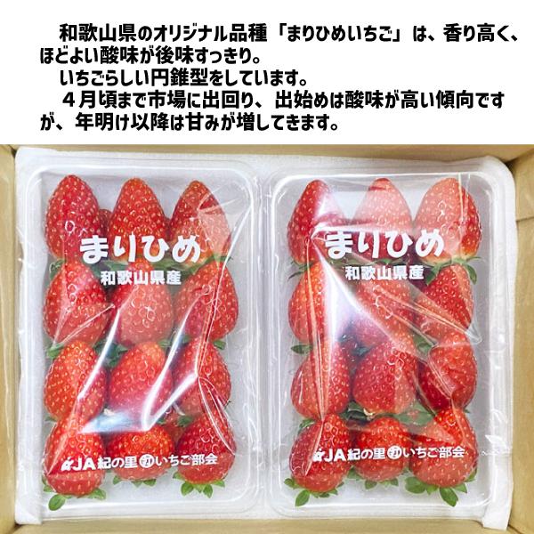 まりひめいちご M〜2L 2パック(250g×2パック)和歌山 紀の川市 まりひめいちご M〜2L 2パック(250g×2パック)和歌山 紀の川市