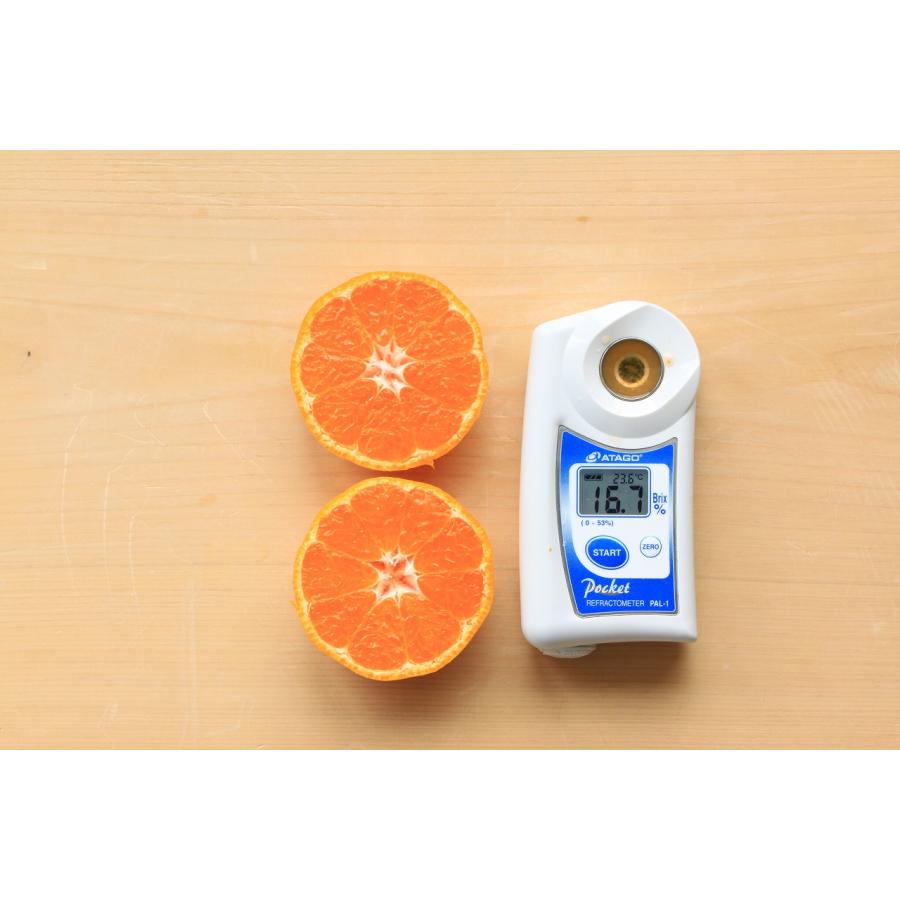 みかん お年賀 贈答用 高糖度 2.5kg お歳暮 ギフト MS玉 濃いミカン 甘い 和歌山 マルチ被覆栽培 紀南みかん 早生 送料無料