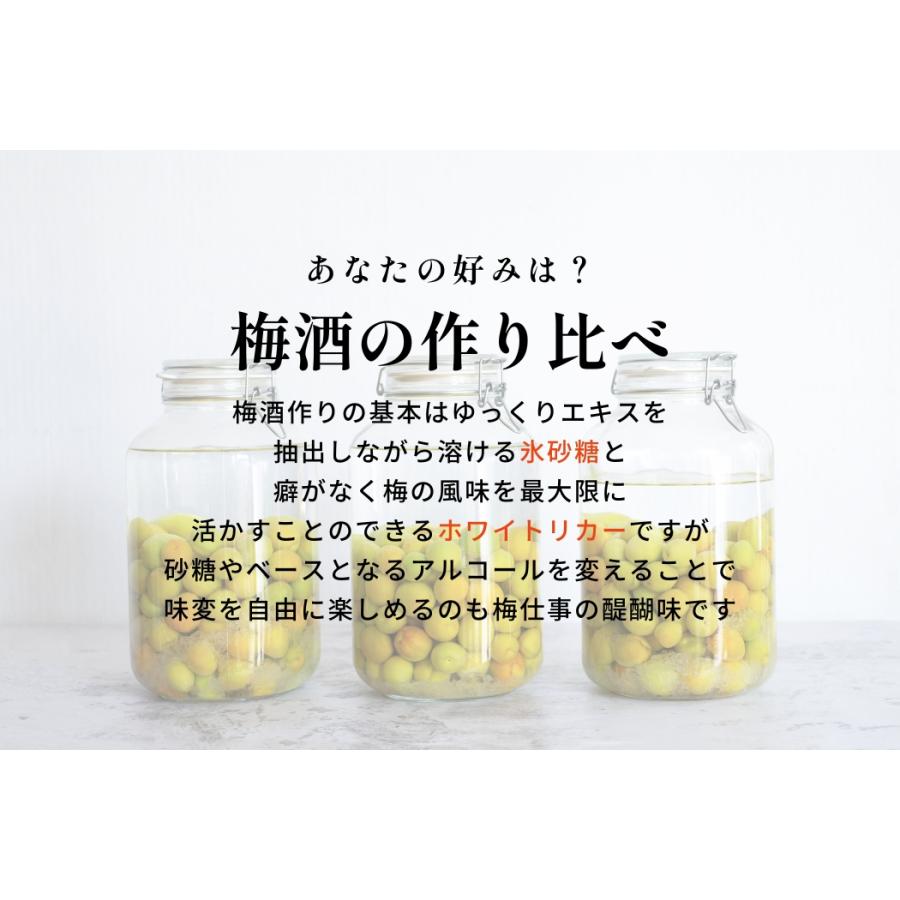 青梅 南高梅 5kg 大粒 3-4Lサイズ 秀品 直送 梅干し 梅酒 梅シロップ