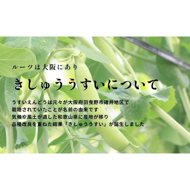 うすいえんどう豆 紀州うすい 1kg L級 秀品 和歌山 朝採れウスイエンドウ 温室栽培 1kgずつ袋包装 送料無料｜wakayamamarche｜05