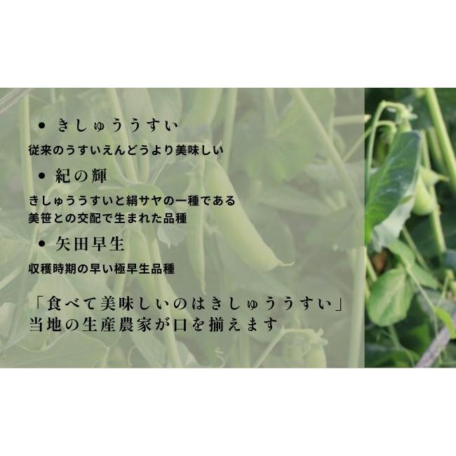 うすいえんどう豆 紀州うすい 2kg L級 秀品 和歌山 朝採れウスイ うすいえんどう豆 紀州うすい 2kg L級 秀品 和歌山 朝採れウスイ