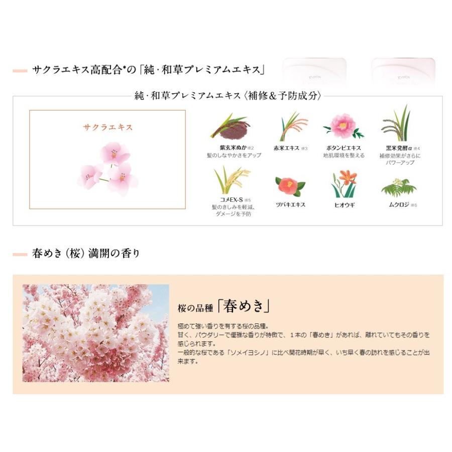 いち髪 シャンプー コンディショナー ペアセット 春めきの香り 480ｍｌ 480ｇ 春かぜ千里 日用良品 通販 Yahoo ショッピング