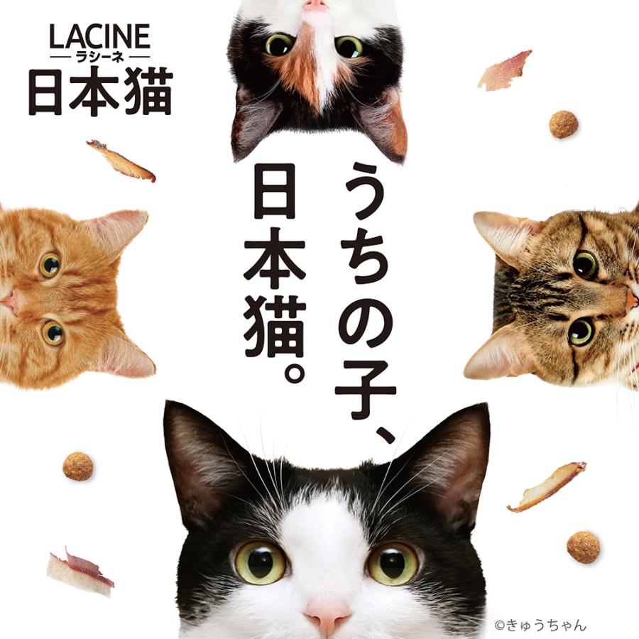 ラシーネ　14袋 LACINE （1ケース販売） 「ラシーネ LACINE 日本猫 ( 150g*4袋入