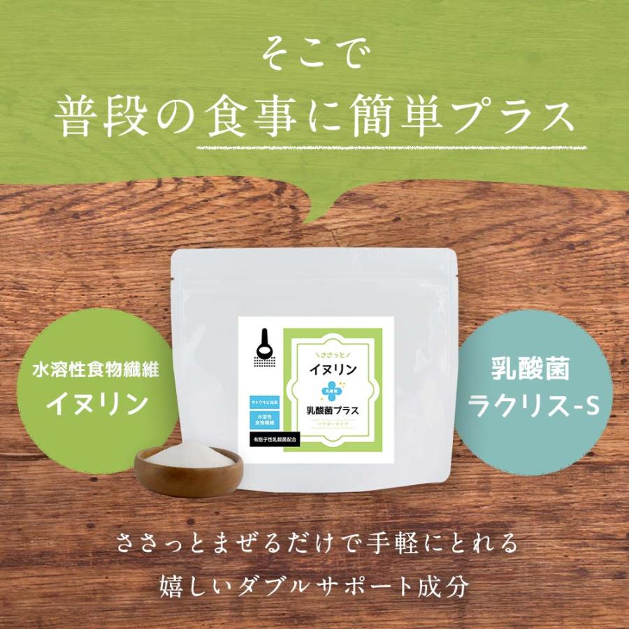 イヌリン 粉末 100g 乳酸菌 パウダー 食物繊維 ダイエット 美容 健康