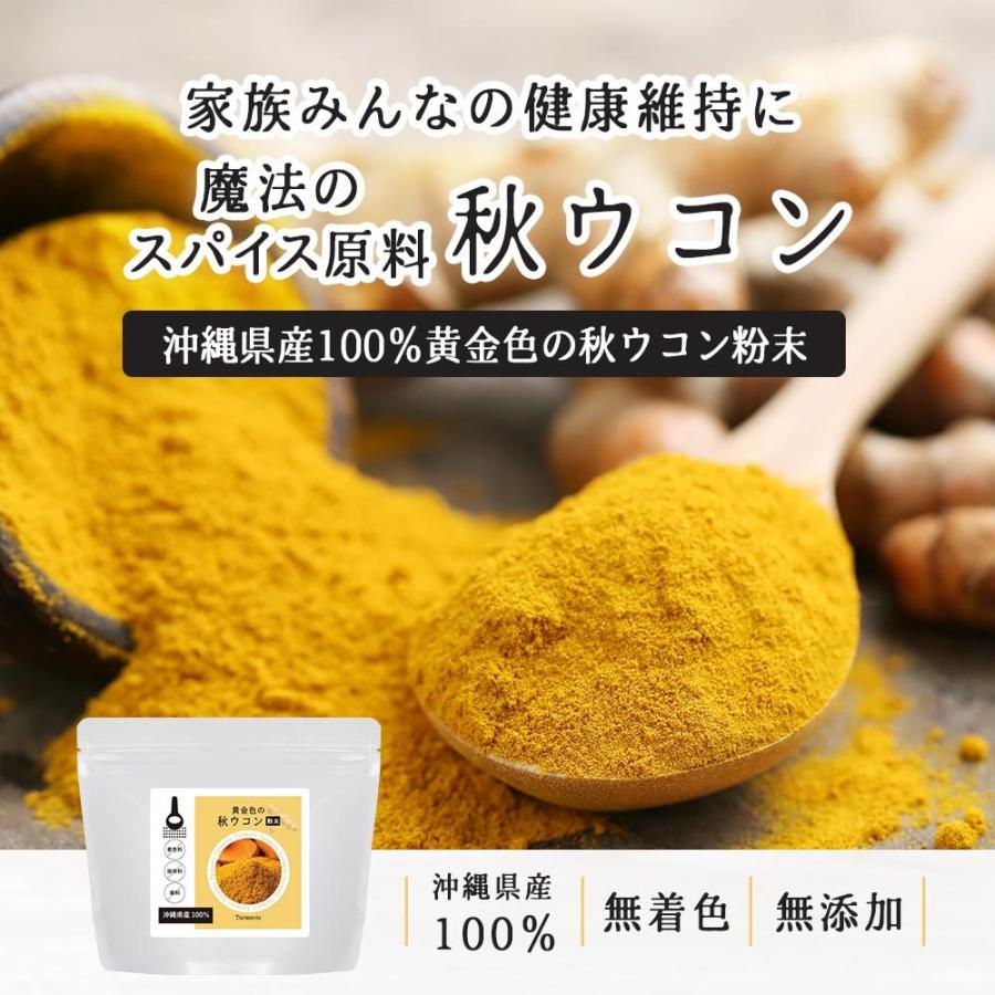 人気TOP ガジュツ パウダー 100g 莪朮 粉末 青汁 100％ お茶